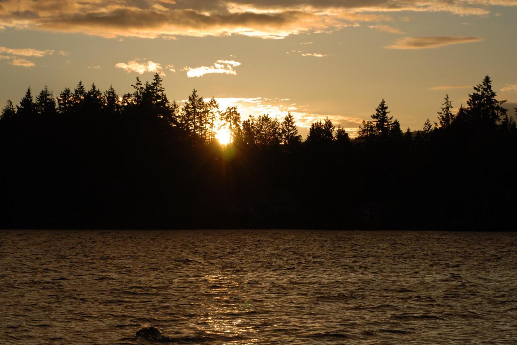 Shawnigan Suite B & B Shawnigan Lake Экстерьер фото